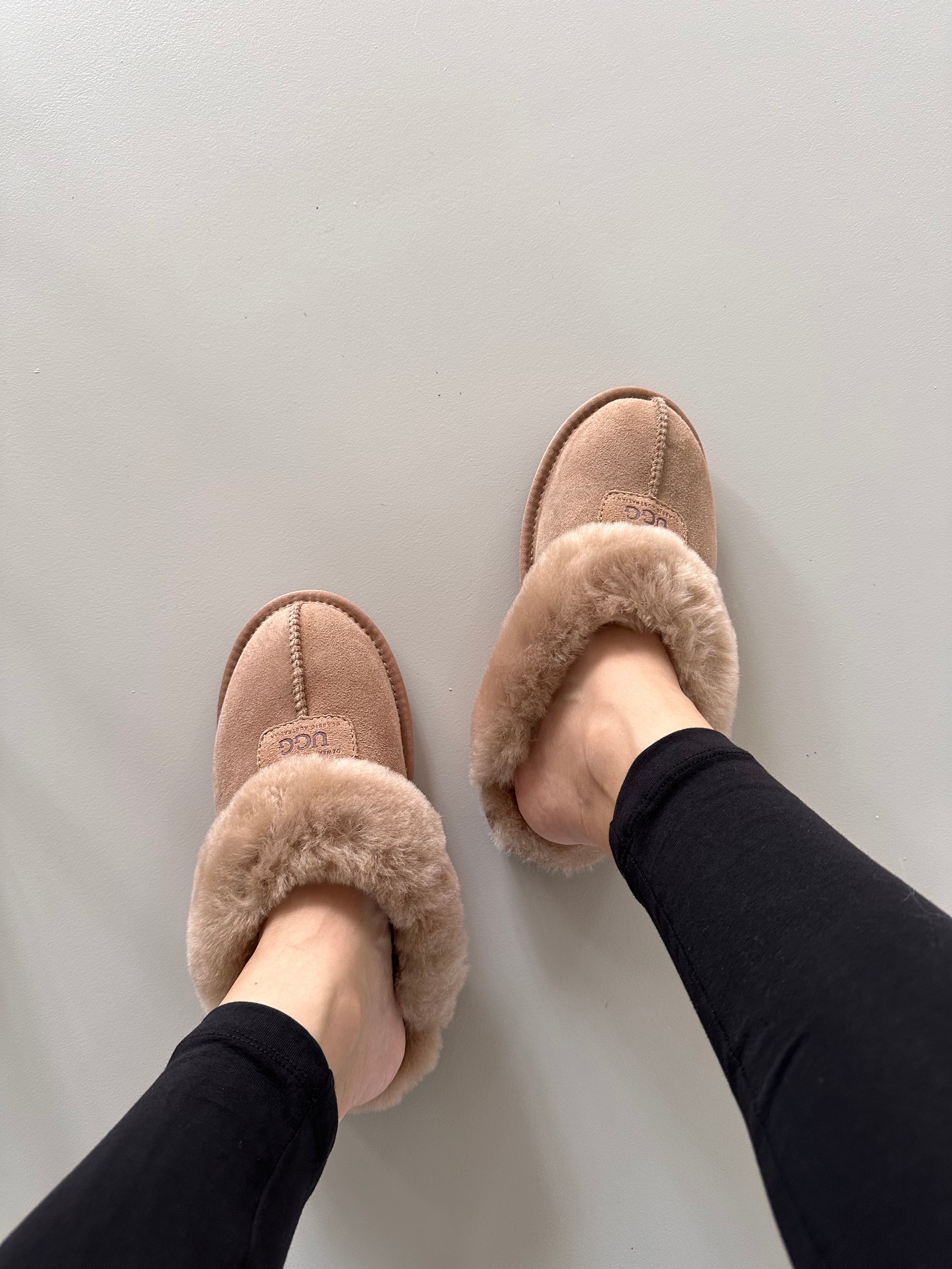 UGG 코켓 슬리퍼 114  코켓 슬리퍼 밴딩 114EB (UGG Coquette Slipper/Coquette Strap Slipper )